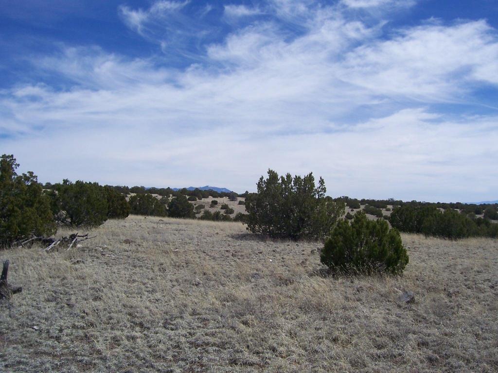 40 Pinon Springs Ranch, Magdalena, NM 87825