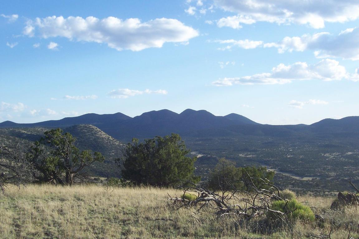 151 Pinon Springs Ranch, Magdalena, NM 87825