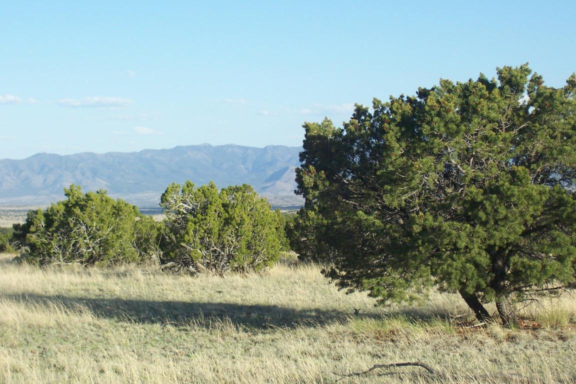 151 Pinon Springs Ranch, Magdalena, NM 87825