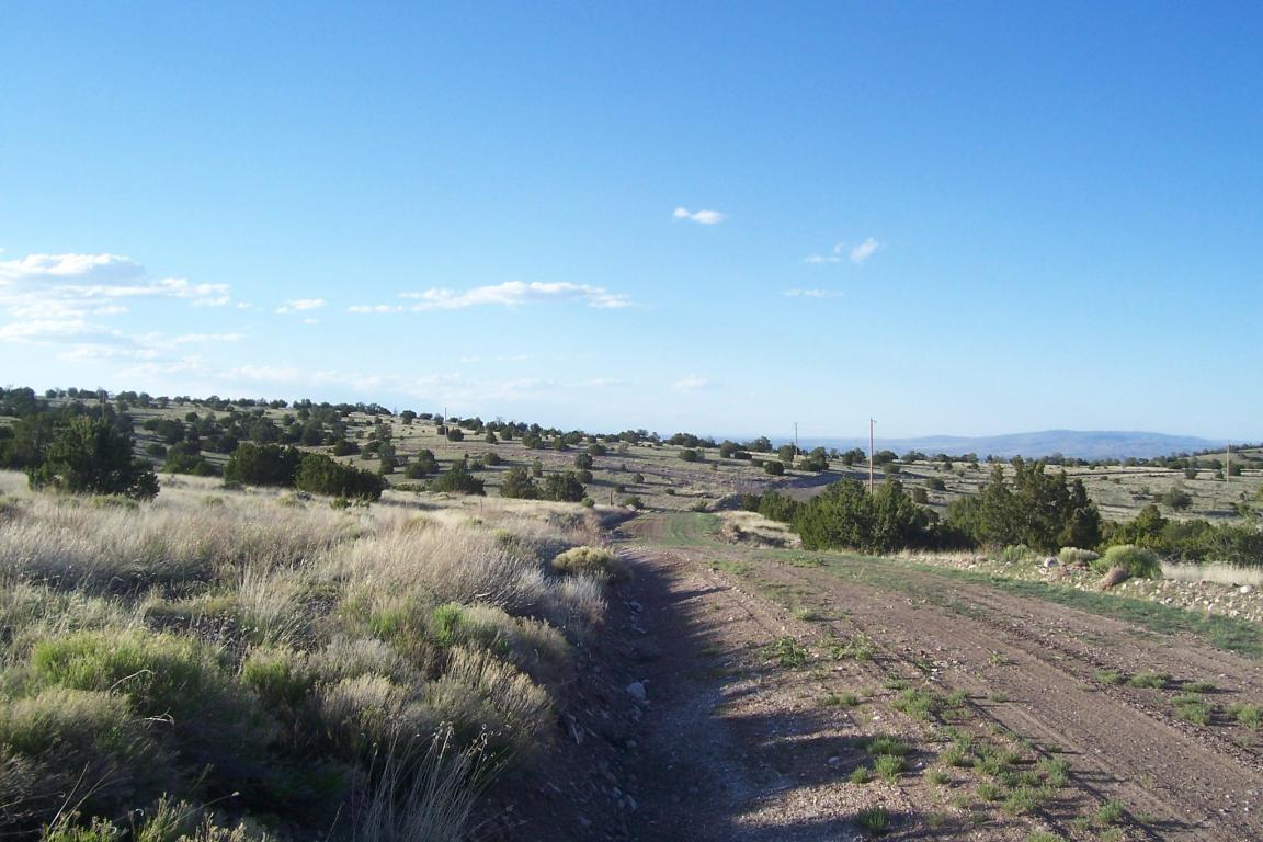 151 Pinon Springs Ranch, Magdalena, NM 87825