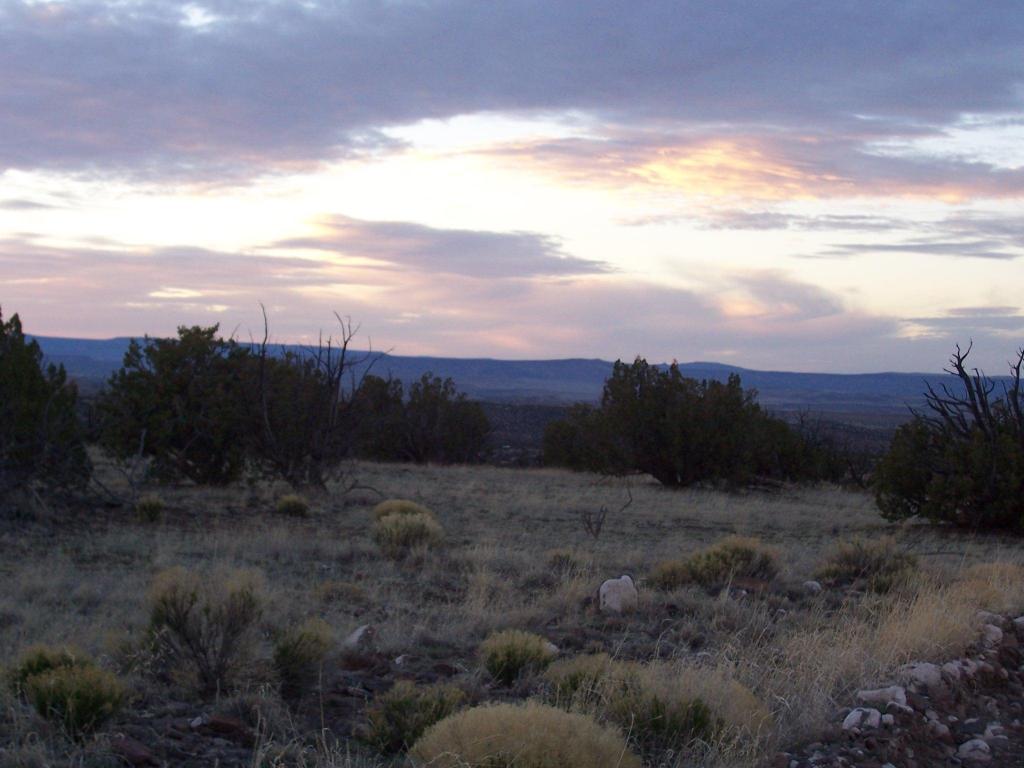 109 Abbe Springs Ranch, Magdalena, NM 87825