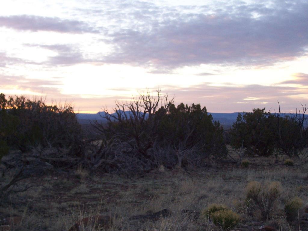 109 Abbe Springs Ranch, Magdalena, NM 87825