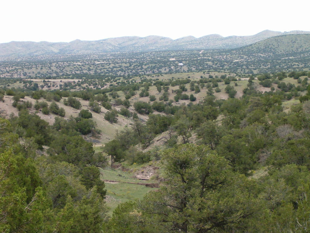 193 Pinon Springs Ranch, Magdalena, NM 87825