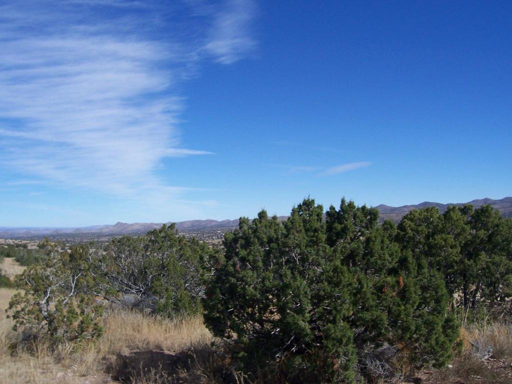 193 Pinon Springs Ranch, Magdalena, NM 87825