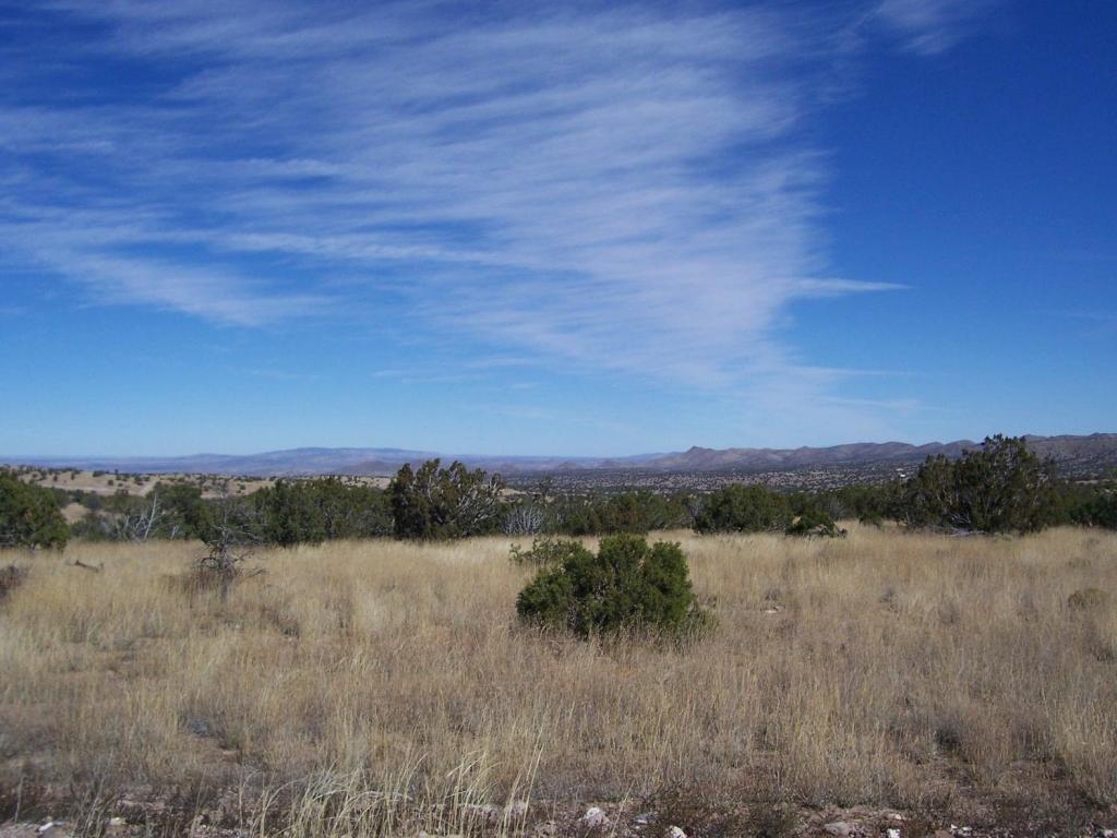 193 Pinon Springs Ranch, Magdalena, NM 87825