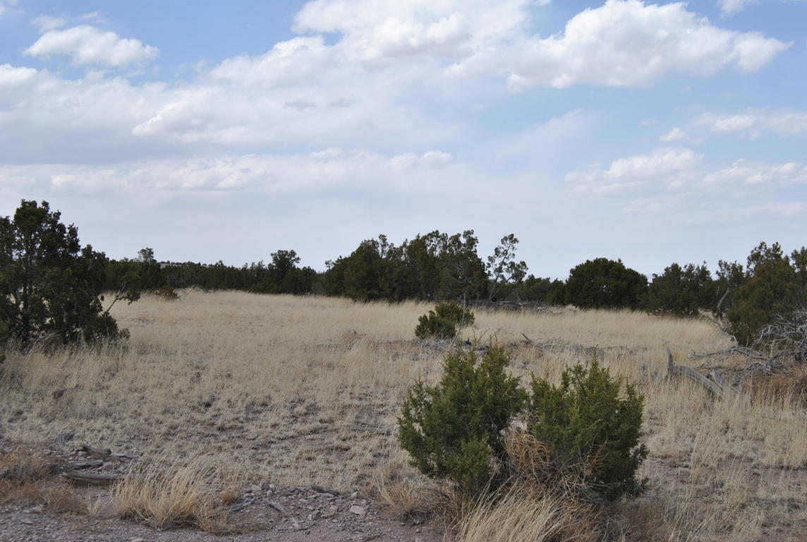 193 Pinon Springs Ranch, Magdalena, NM 87825