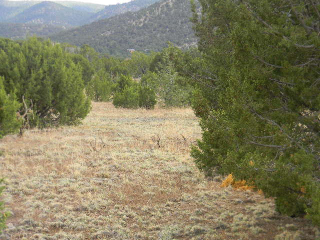 Galilee Subdivision, Magdalena, NM 87825
