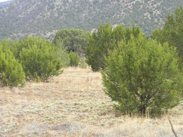 Galilee Subdivision, Magdalena, NM 87825