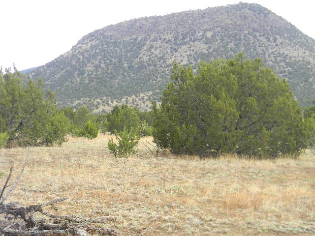 Galilee Subdivision, Magdalena, NM 87825