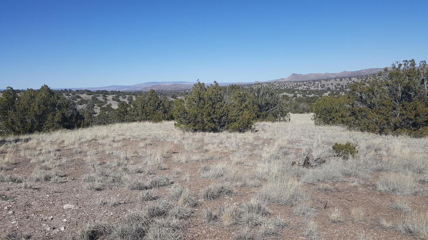 75 Pinon Springs, Magdalena, NM 87825