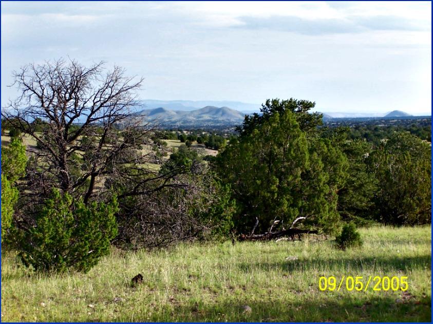 75 Pinon Springs, Magdalena, NM 87825