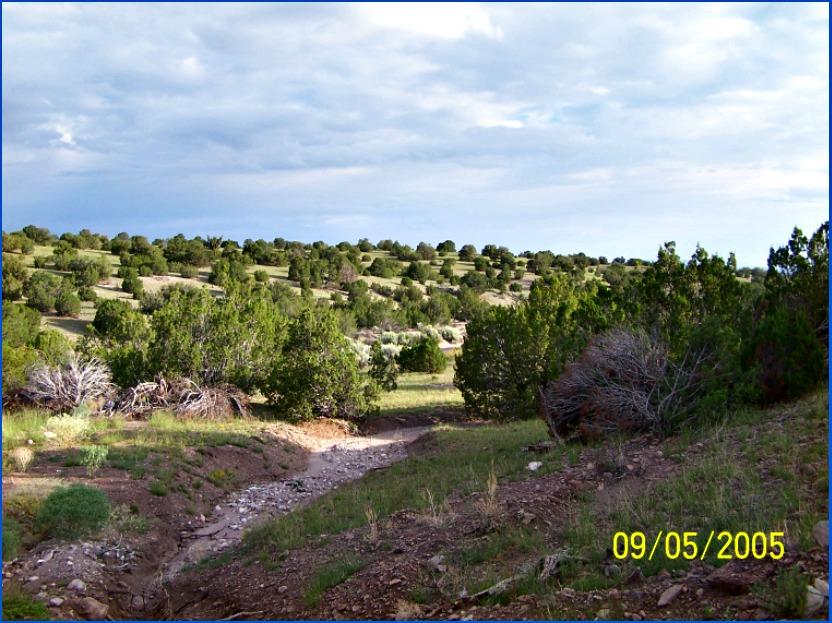 75 Pinon Springs, Magdalena, NM 87825