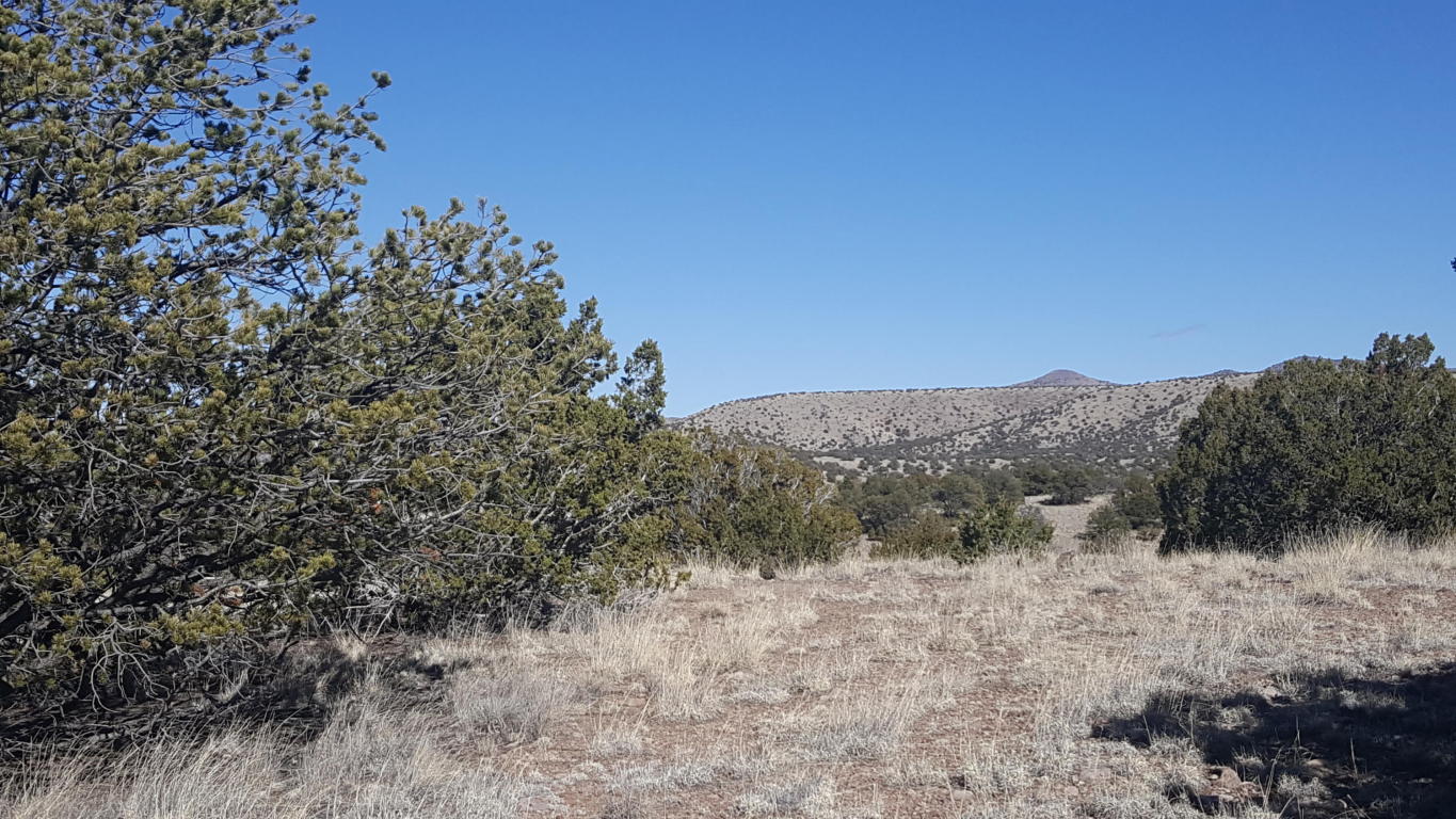 75 Pinon Springs, Magdalena, NM 87825