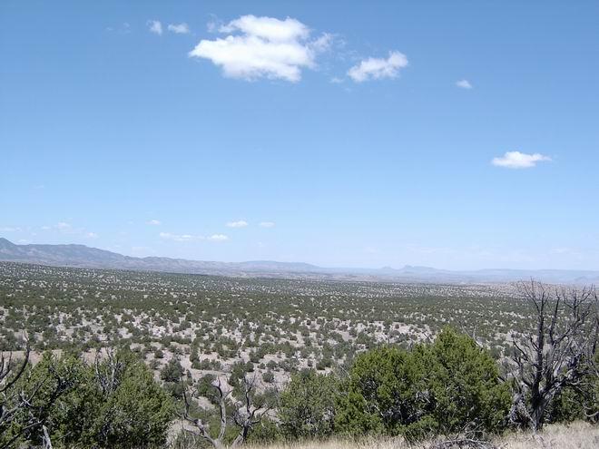 110 Abbe Springs Ranch, Magdalena, NM 87825