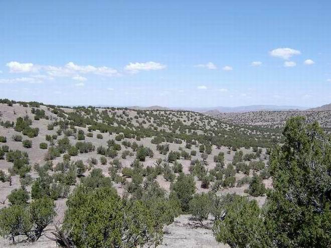 110 Abbe Springs Ranch, Magdalena, NM 87825