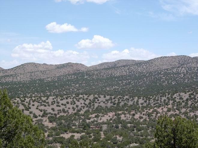 110 Abbe Springs Ranch, Magdalena, NM 87825
