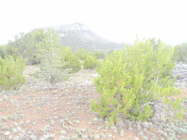 Tract C1A-Galilee Subdivision, Magdalena, NM 87825