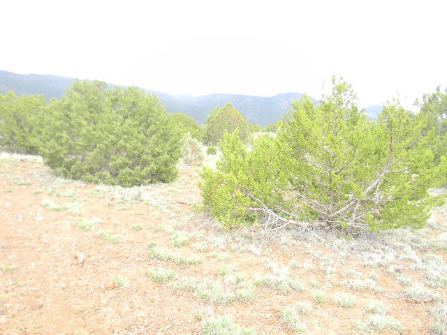 Tract C1A-Galilee Subdivision, Magdalena, NM 87825