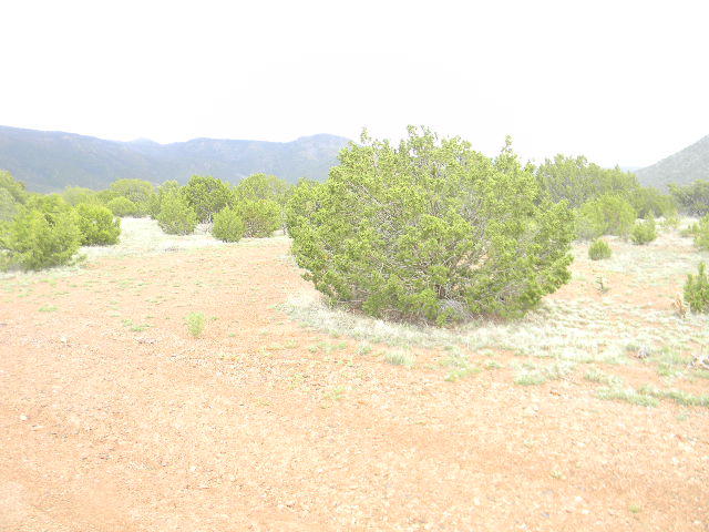 Tract C1A-Galilee Subdivision, Magdalena, NM 87825