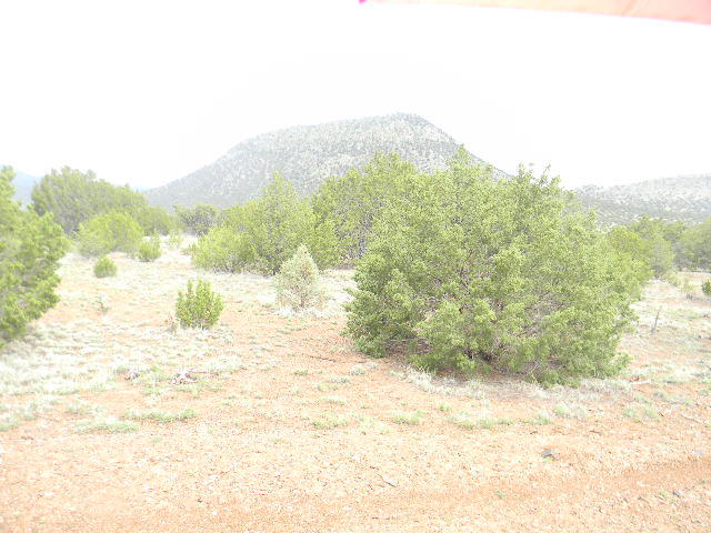 Tract C1A-Galilee Subdivision, Magdalena, NM 87825