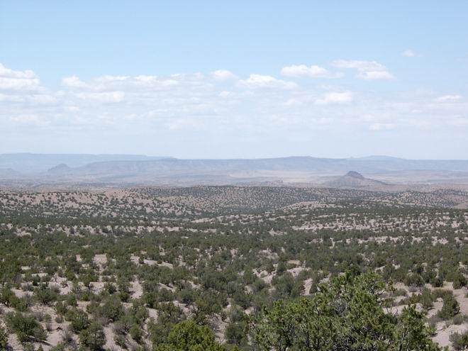 111 Abbe Springs Ranch, Magdalena, NM 87825