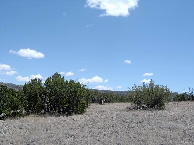 111 Abbe Springs Ranch, Magdalena, NM 87825