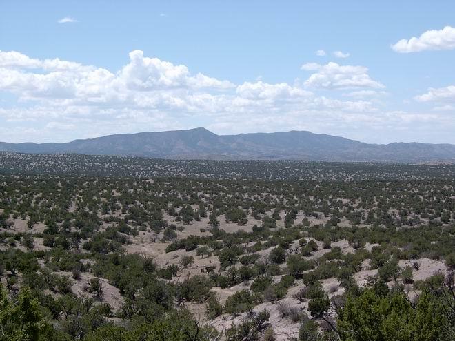 111 Abbe Springs Ranch, Magdalena, NM 87825