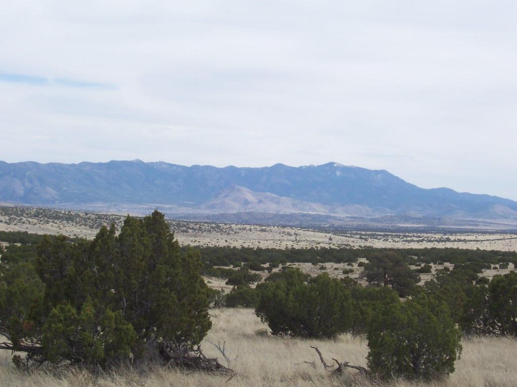 182 Pinon Springs Ranch, Magdalena, NM 87825