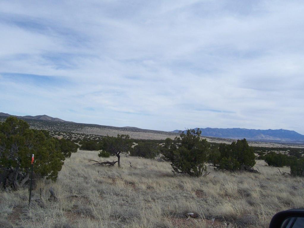 182 Pinon Springs Ranch, Magdalena, NM 87825