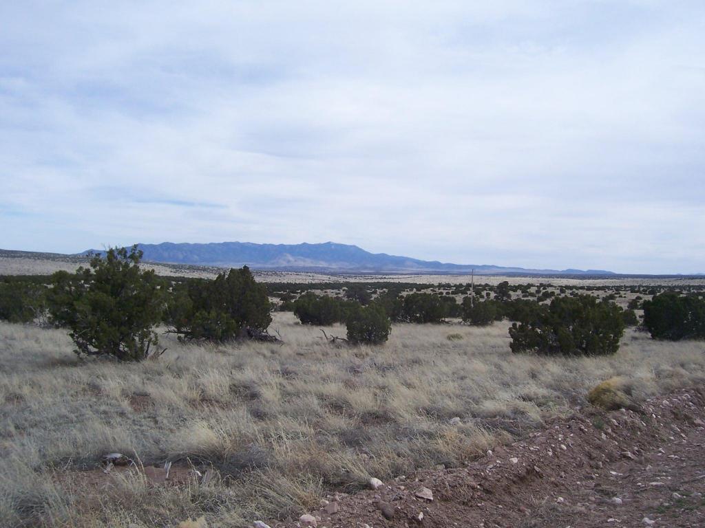 182 Pinon Springs Ranch, Magdalena, NM 87825