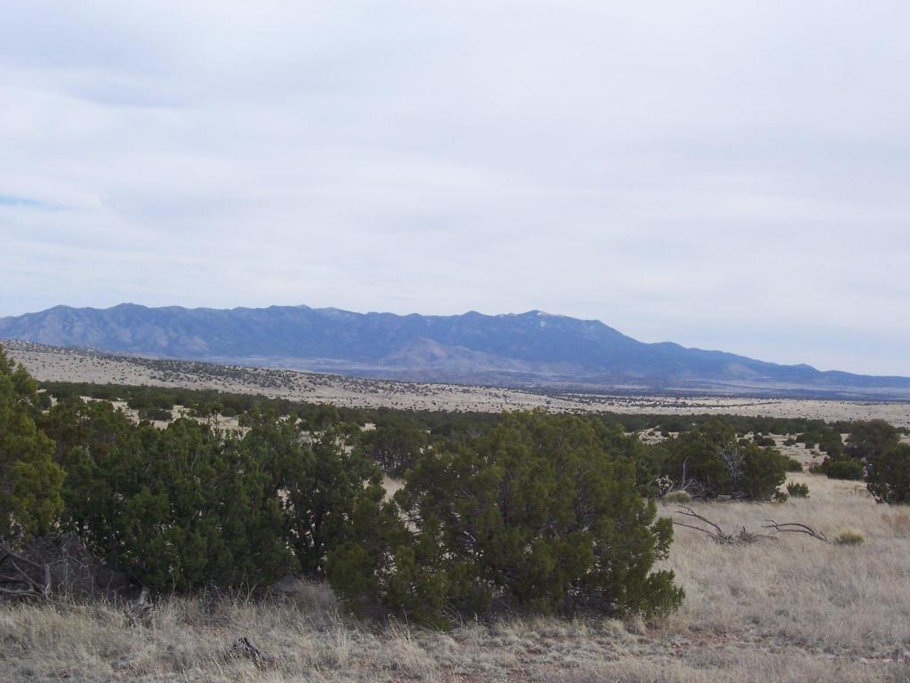 182 Pinon Springs Ranch, Magdalena, NM 87825