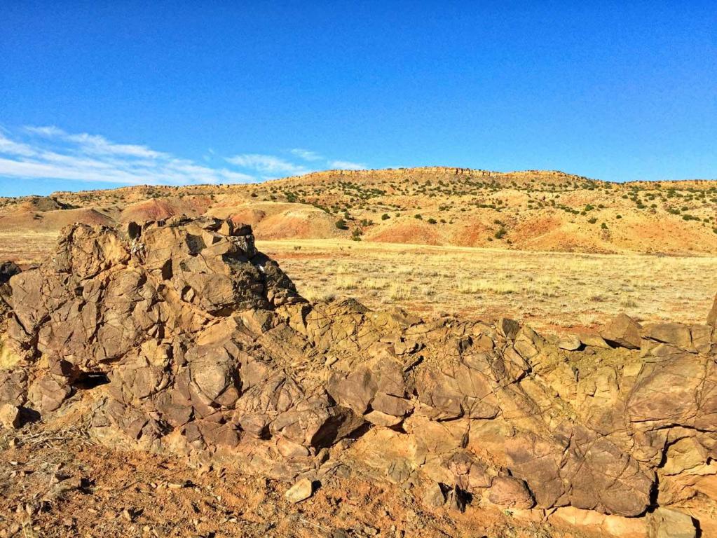Buricito Road, Alamo, NM 87825