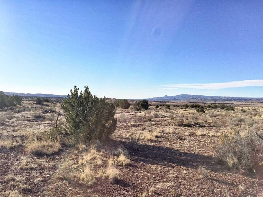 Buricito Road, Alamo, NM 87825