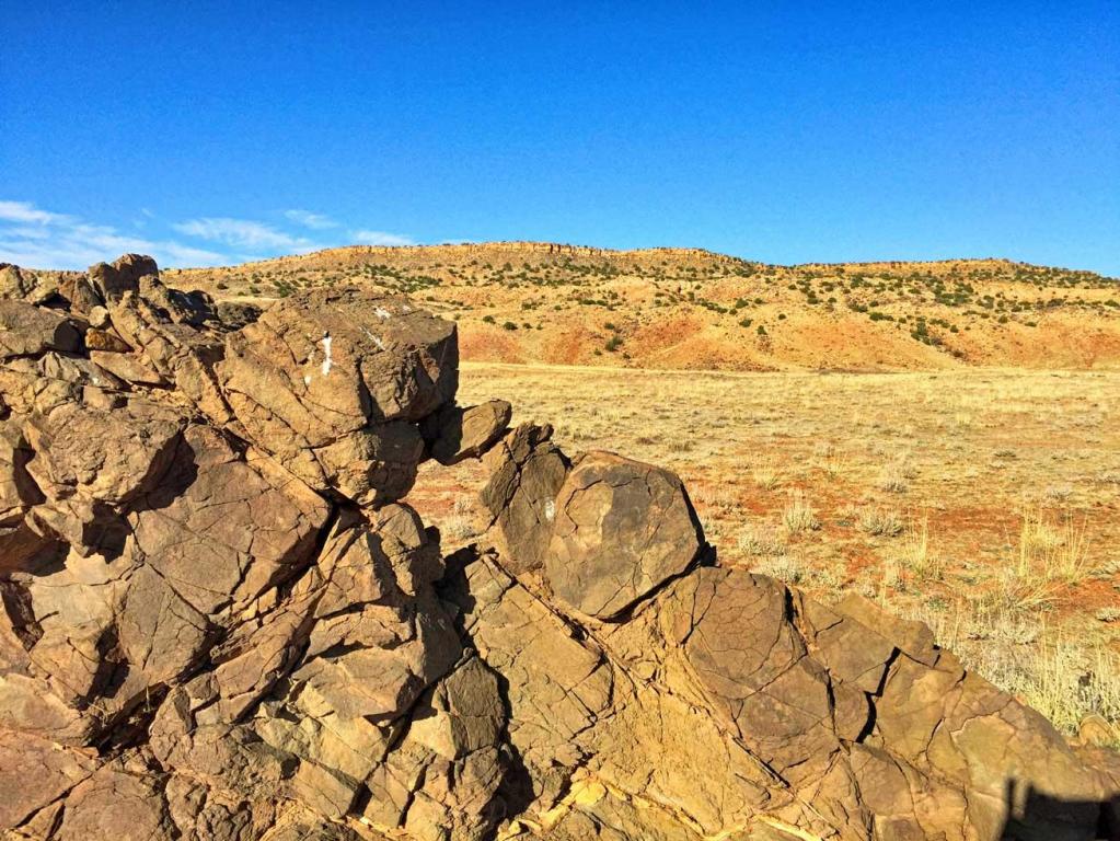 Buricito Road, Alamo, NM 87825