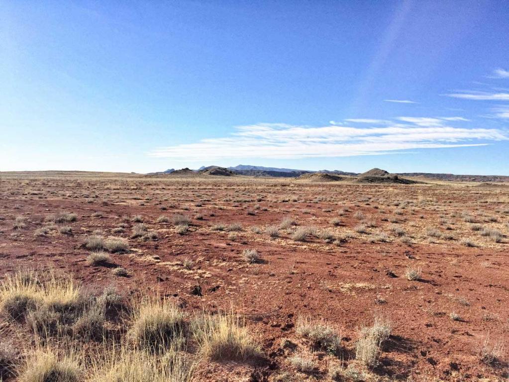 Buricito Road, Alamo, NM 87825