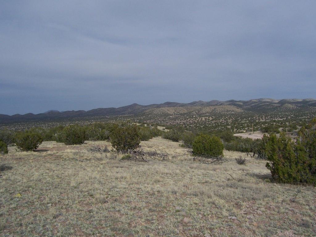 81 Pinon Springs Ranch, Magdalena, NM 87825