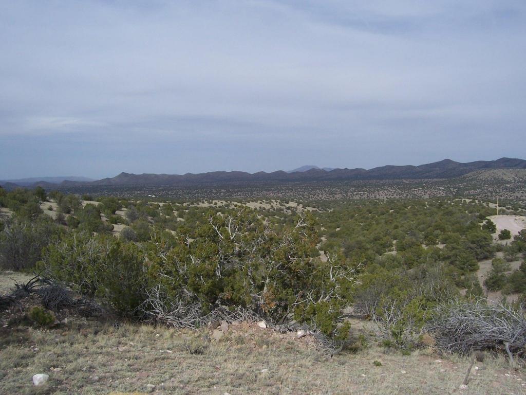 81 Pinon Springs Ranch, Magdalena, NM 87825