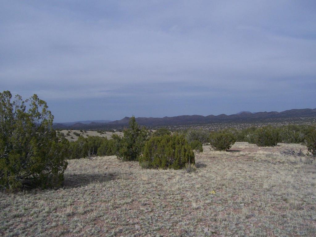 81 Pinon Springs Ranch, Magdalena, NM 87825