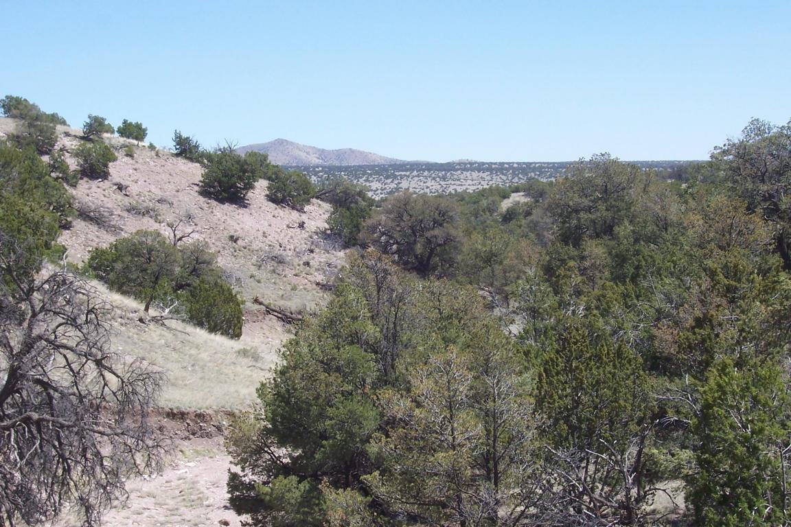 195 Pinon Springs Ranch, Magdalena, NM 87825