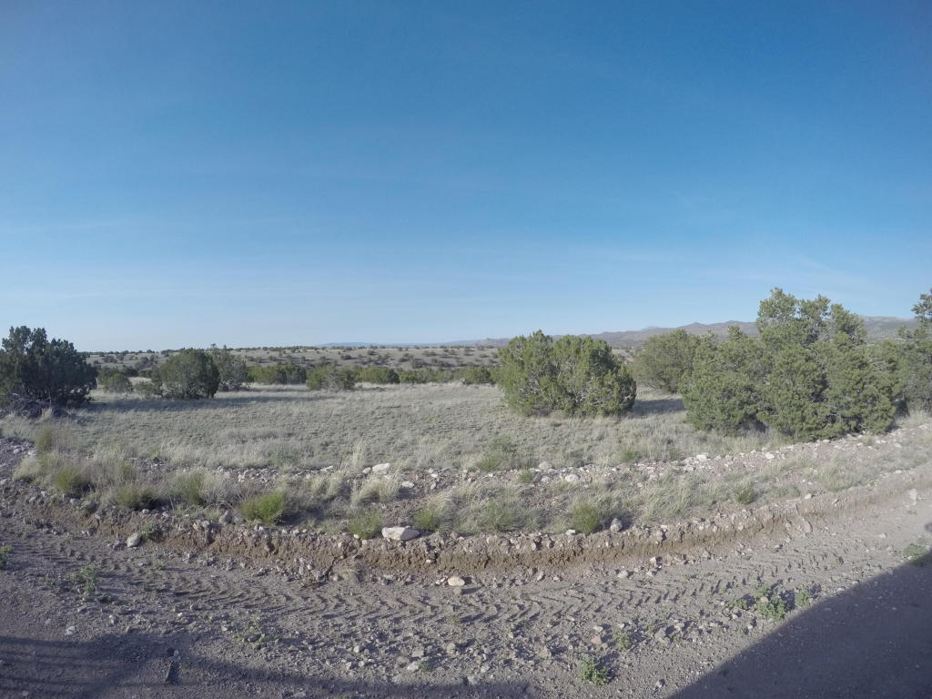 195 Pinon Springs Ranch, Magdalena, NM 87825