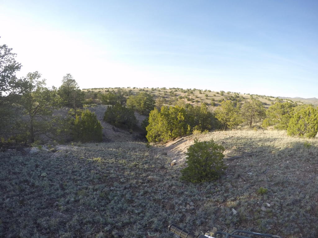195 Pinon Springs Ranch, Magdalena, NM 87825