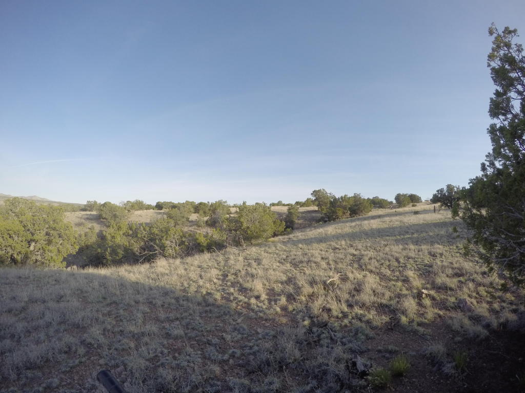 195 Pinon Springs Ranch, Magdalena, NM 87825