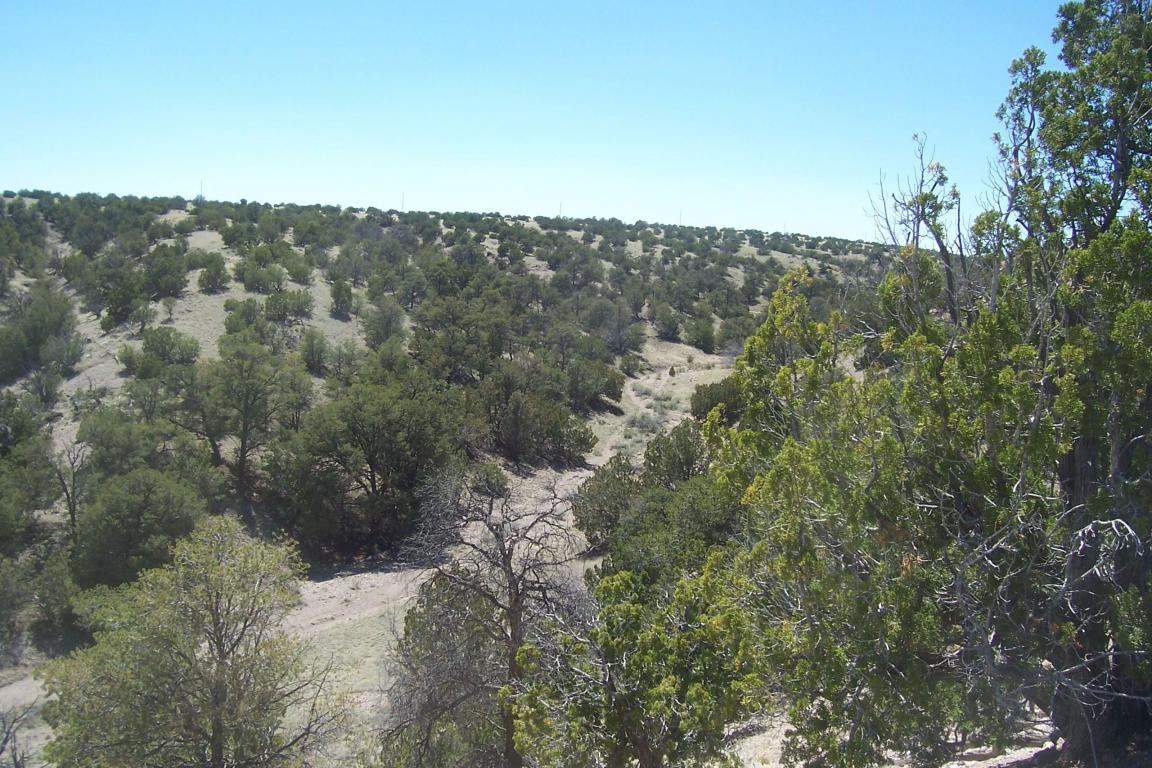 194 Pinon Springs Ranch, Magdalena, NM 87825