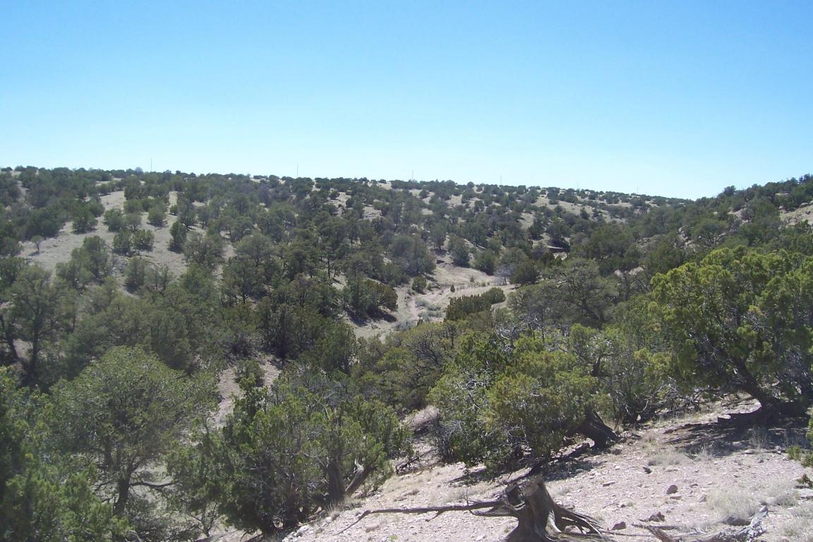 194 Pinon Springs Ranch, Magdalena, NM 87825