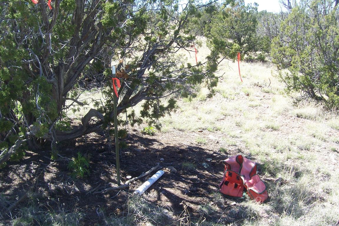 194 Pinon Springs Ranch, Magdalena, NM 87825