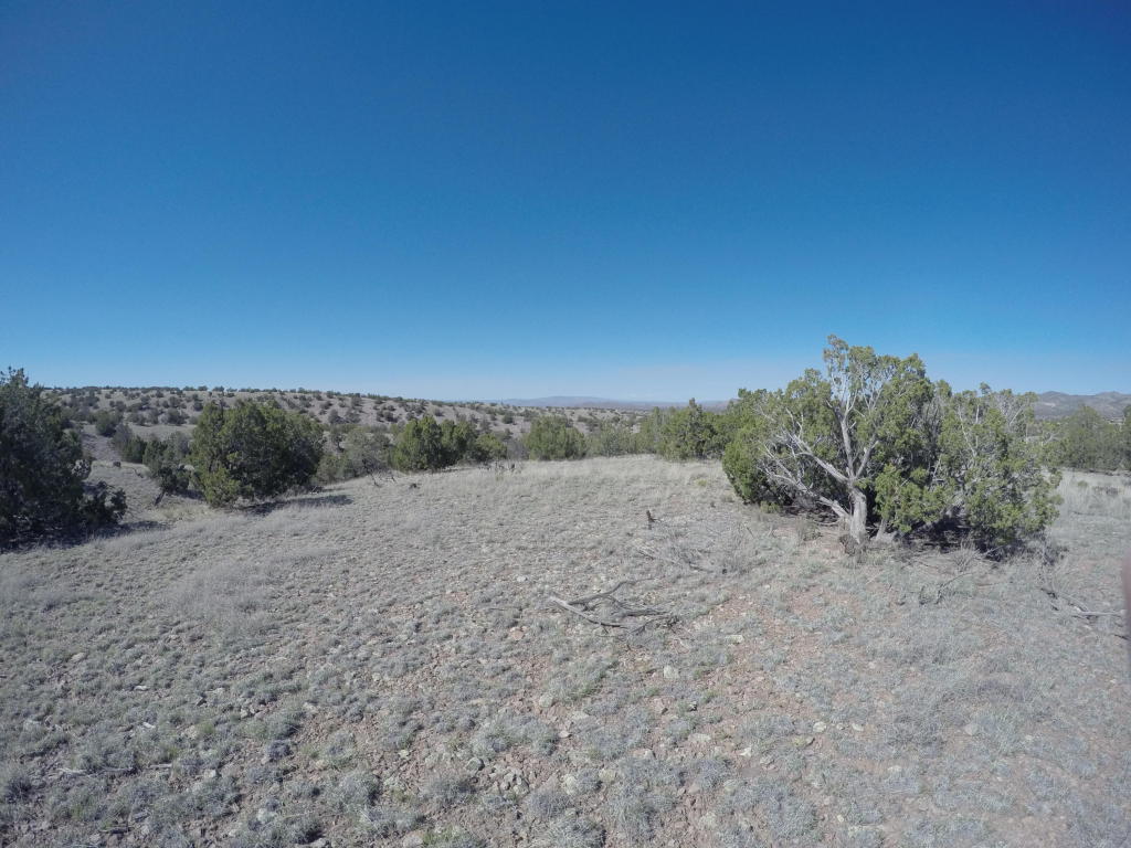 194 Pinon Springs Ranch, Magdalena, NM 87825