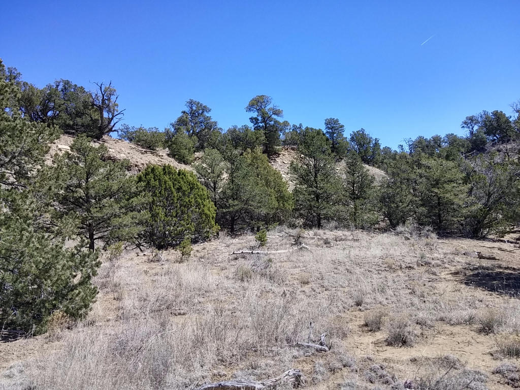Wild Horse Ranch Unit 1 Lot 50, Pie Town, NM 87827