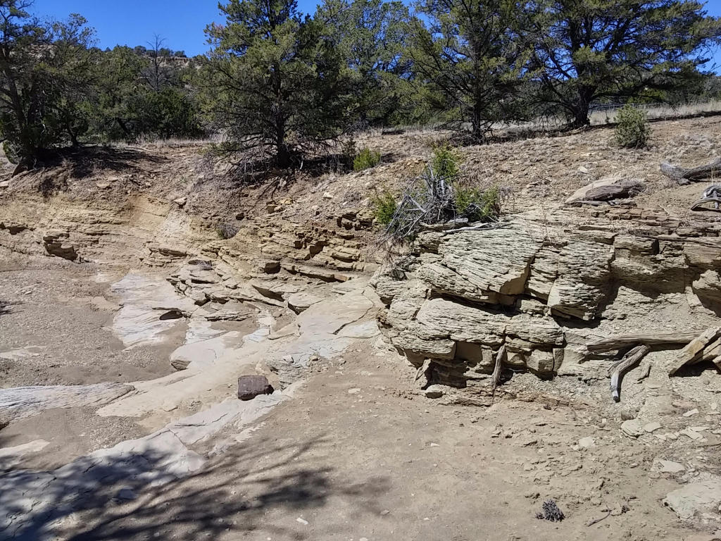 Wild Horse Ranch Unit 1 Lot 50, Pie Town, NM 87827