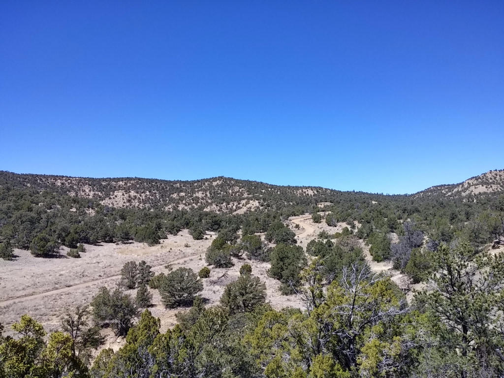Wild Horse Ranch Unit 1 Lot 50, Pie Town, NM 87827