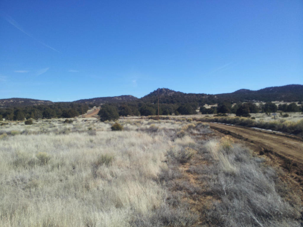 Wild Horse Ranch, Pie Town, NM 87827